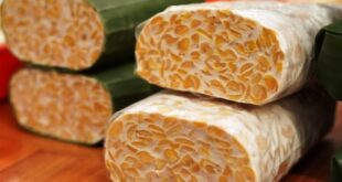 Cara Menyimpan Tempe di Kulkas agar Tetap Segar dan Enak