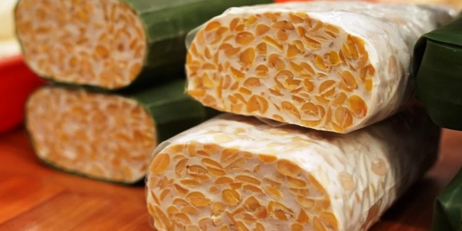 Cara Menyimpan Tempe di Kulkas agar Tetap Segar dan Enak